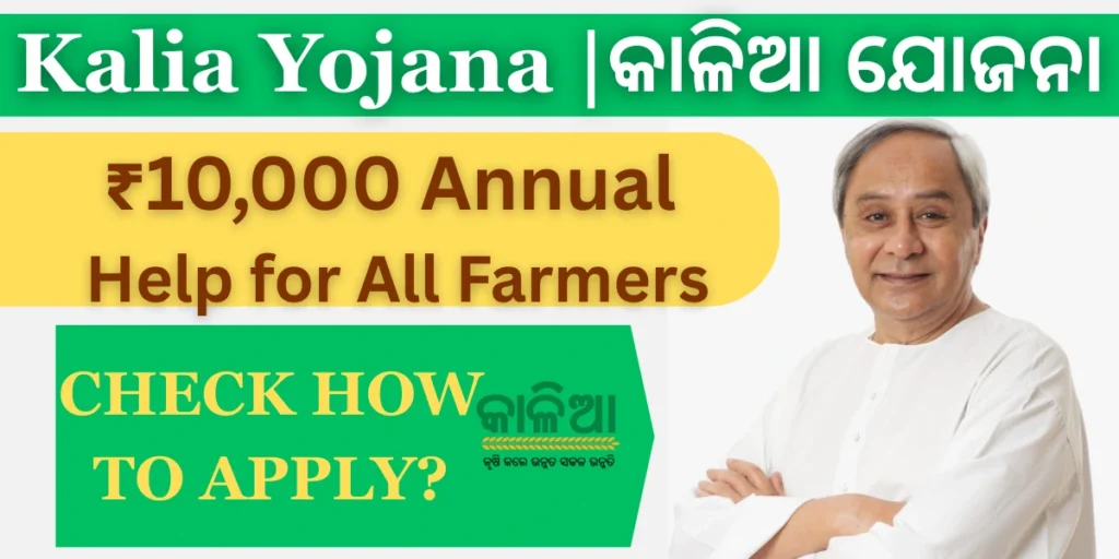 Kalia Yojana 2025 କାଳିଆ ଯୋଜନା