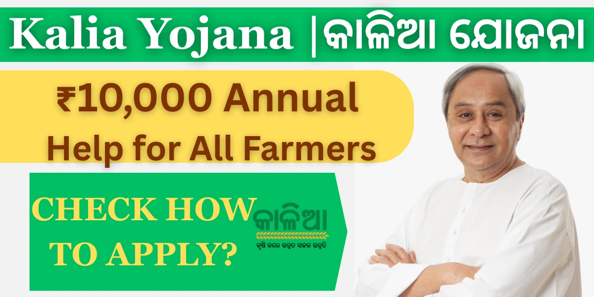 Kalia Yojana 2025 କାଳିଆ ଯୋଜନା