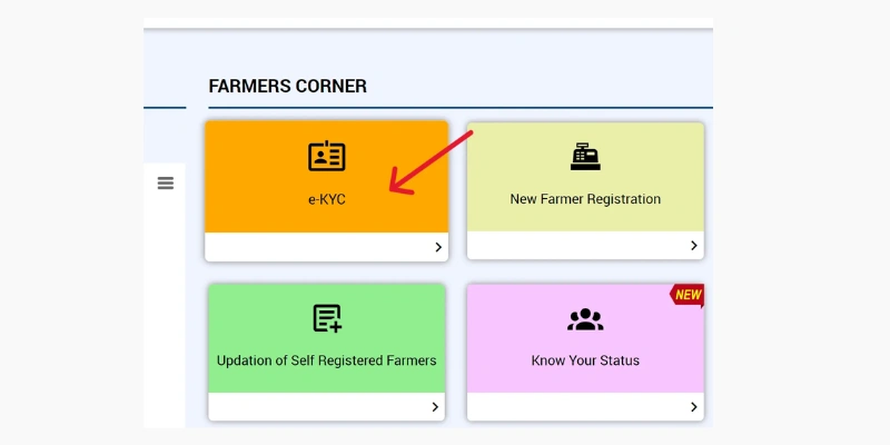 e-KYC process